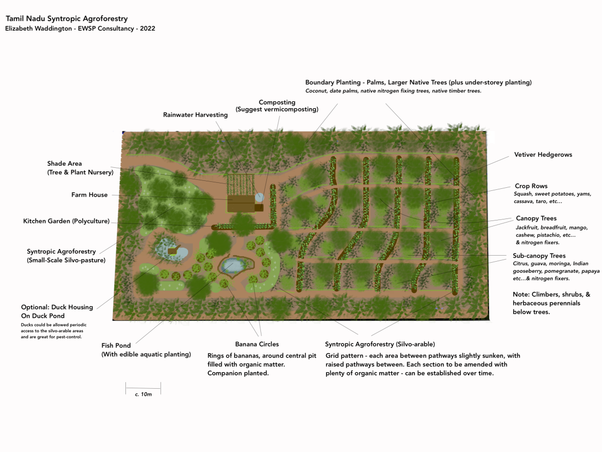 Case Study: India Permaculture Syntropic Agroforestry